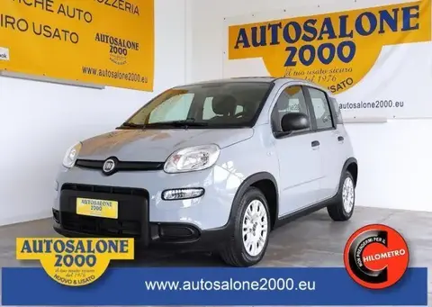 Used FIAT PANDA Hybrid 2022 Ad 