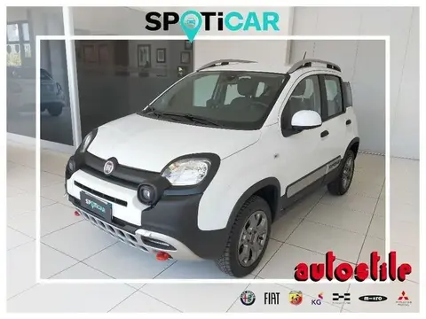 Annonce FIAT PANDA Essence 2021 d'occasion 