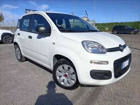 Annonce FIAT PANDA Essence 2020 d'occasion 