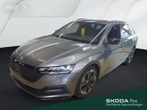 Annonce SKODA OCTAVIA Essence 2024 d'occasion 