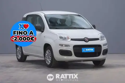 Annonce FIAT PANDA GPL 2019 d'occasion 