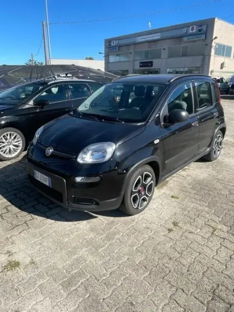 Annonce FIAT PANDA Essence 2021 d'occasion 