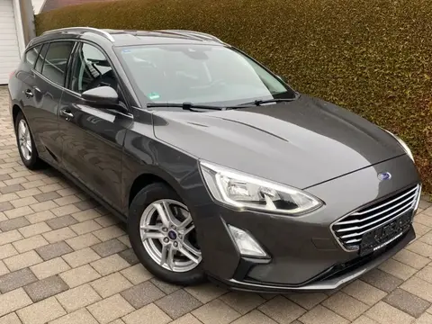 Used FORD FOCUS Diesel 2019 Ad Germany