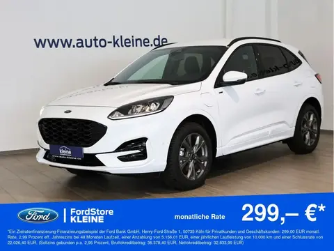 Used FORD KUGA Hybrid 2024 Ad 