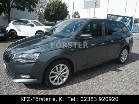 Used SKODA FABIA Petrol 2019 Ad 