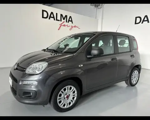 Annonce FIAT PANDA Essence 2017 d'occasion 