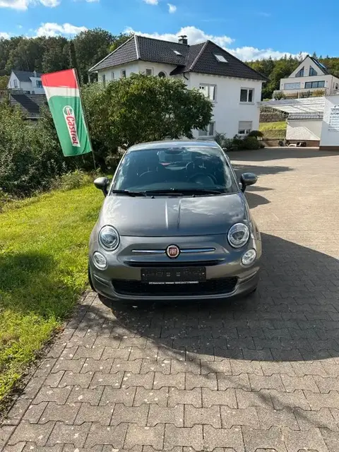 Used FIAT 500 Petrol 2022 Ad 