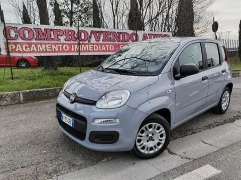 Used FIAT PANDA Petrol 2018 Ad 