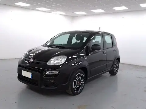 Annonce FIAT PANDA Hybride 2022 d'occasion 