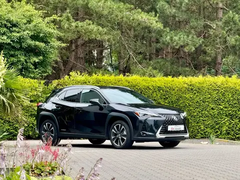 Used LEXUS UX Hybrid 2021 Ad 