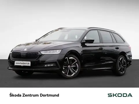 Used SKODA OCTAVIA Petrol 2024 Ad 