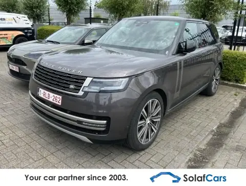 Annonce LAND ROVER RANGE ROVER Diesel 2022 d'occasion 