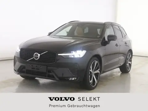 Annonce VOLVO XC60 Diesel 2024 d'occasion 