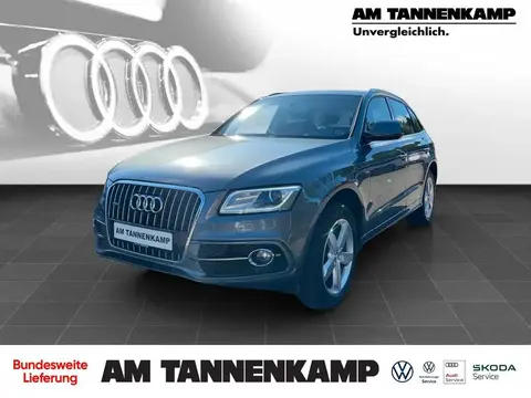 Used AUDI Q5 Diesel 2017 Ad 