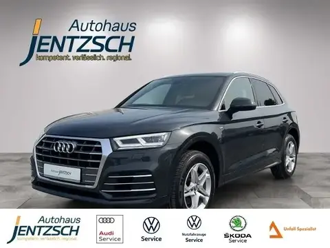 Used AUDI Q5 Diesel 2019 Ad 