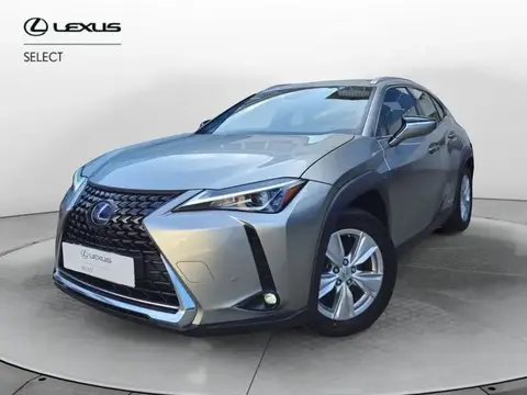 Annonce LEXUS UX Hybride 2019 d'occasion 