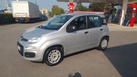 Used FIAT PANDA Petrol 2019 Ad 