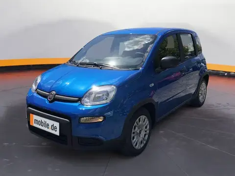 Used FIAT PANDA Petrol 2024 Ad 