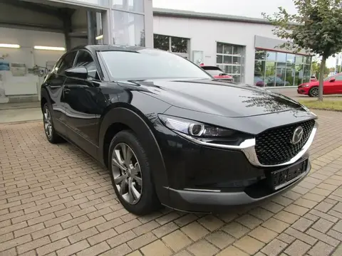 Used MAZDA CX-3 Petrol 2019 Ad 