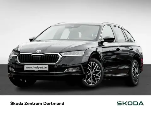 Annonce SKODA OCTAVIA Diesel 2024 d'occasion 