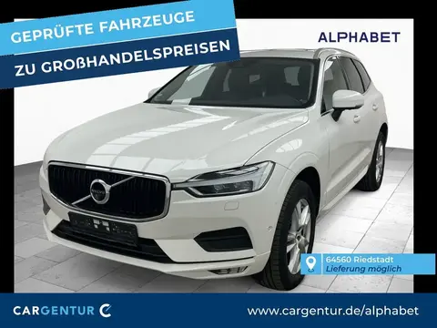 Used VOLVO XC60 Diesel 2019 Ad 