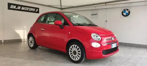 Annonce FIAT 500 Essence 2019 d'occasion 