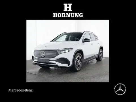 Used MERCEDES-BENZ EQA Not specified 2024 Ad 