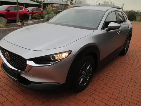 Annonce MAZDA CX-30 Essence 2020 d'occasion 