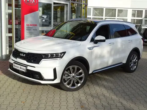 Annonce KIA SORENTO Diesel 2024 d'occasion 