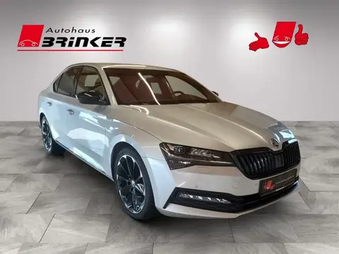 Used SKODA SUPERB Diesel 2019 Ad 