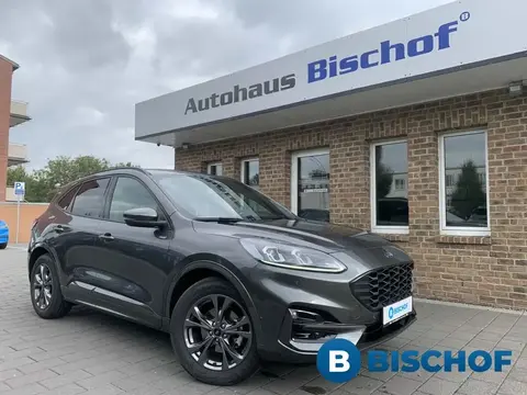 Used FORD KUGA Hybrid 2023 Ad 