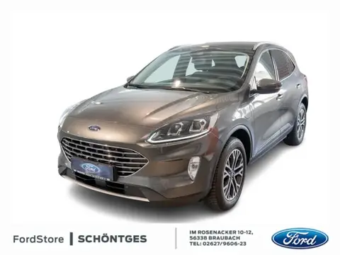 Used FORD KUGA Hybrid 2024 Ad 