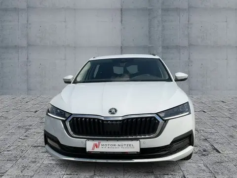 Annonce SKODA OCTAVIA Diesel 2023 d'occasion 