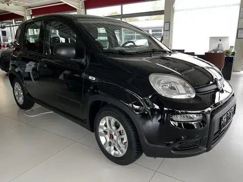 Annonce FIAT PANDA Essence 2024 d'occasion 