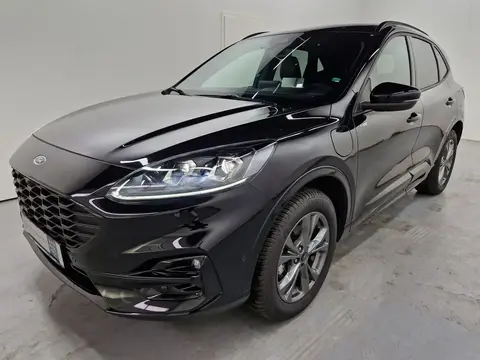 Used FORD KUGA Hybrid 2022 Ad 