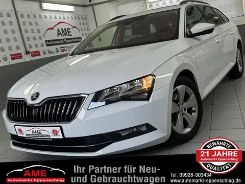 Annonce SKODA SUPERB Diesel 2019 d'occasion 