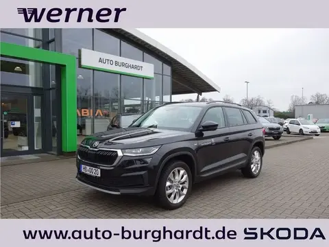 Used SKODA KODIAQ Diesel 2023 Ad 