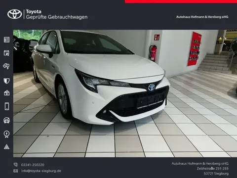 Used TOYOTA COROLLA Hybrid 2020 Ad 