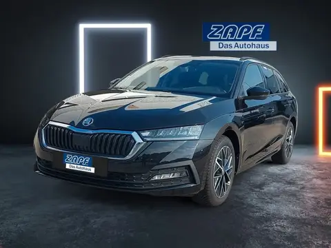 Annonce SKODA OCTAVIA Essence 2024 d'occasion 