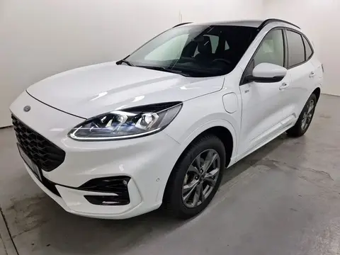 Annonce FORD KUGA Hybride 2022 d'occasion 