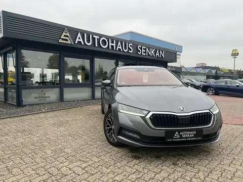 Annonce SKODA OCTAVIA Diesel 2022 d'occasion 