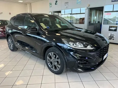 Used FORD KUGA Hybrid 2020 Ad 