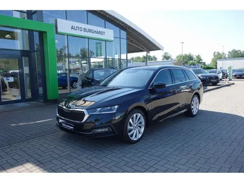 Used SKODA OCTAVIA Diesel 2023 Ad 