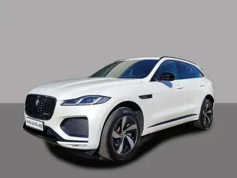 Used JAGUAR F-PACE Hybrid 2023 Ad 