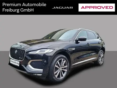 Used JAGUAR F-PACE Hybrid 2023 Ad 