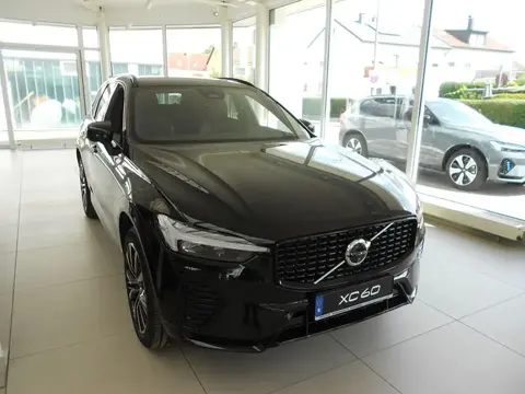 Annonce VOLVO XC60 Diesel 2023 d'occasion 