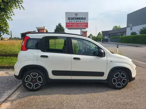 Annonce FIAT PANDA  2022 d'occasion 