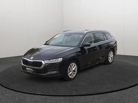 Used SKODA OCTAVIA Petrol 2024 Ad 