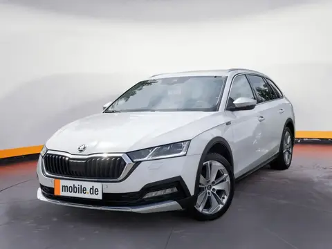 Annonce SKODA OCTAVIA Diesel 2021 d'occasion 