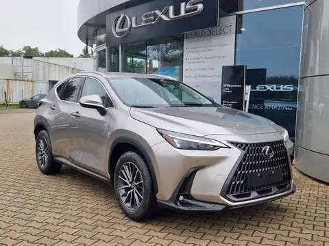 Used LEXUS NX Hybrid 2024 Ad 